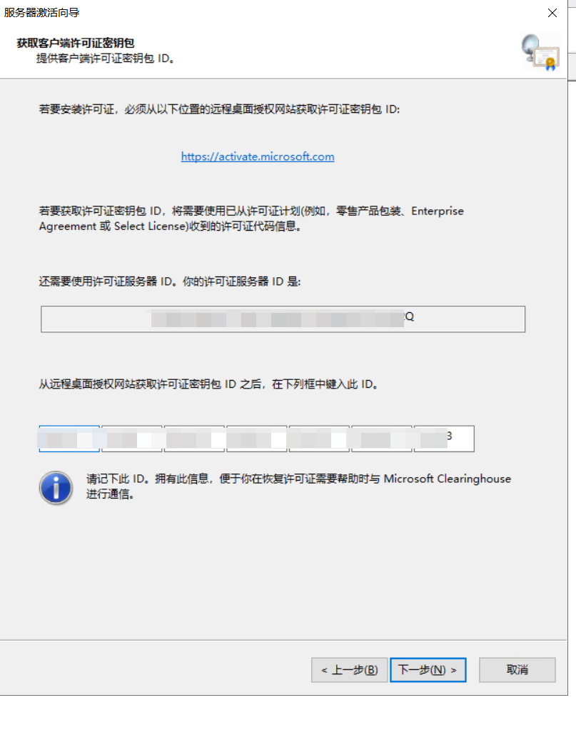 image-20250106092933681